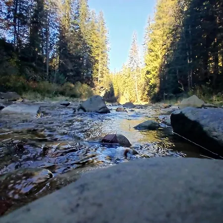 Privat-villa-котедж Appartement Mykulychyn