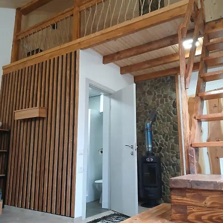 Privat-villa-котедж Mykulychyn