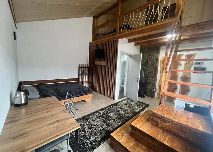 Privat-villa-котедж 公寓